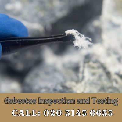 Comprehensive Asbestos Inspection and Testing Services in Norwood Green